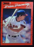 Brian Jay Downing, DH