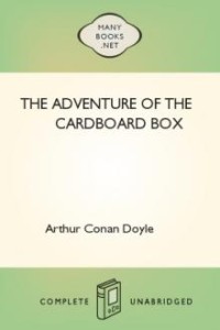 Adventure of the Cardboard Box